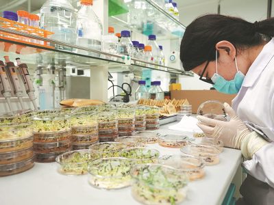 627b2086a310fd2bec883ab0 (1) 627b2086a310fd2bec883ab0 (1)