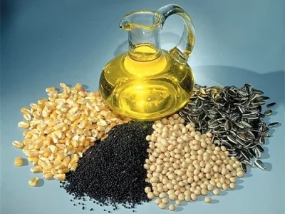 oilseed-grain-500x500